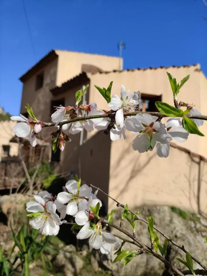Refugi De Muntanya Els Masets Hostel La Riba 0*,